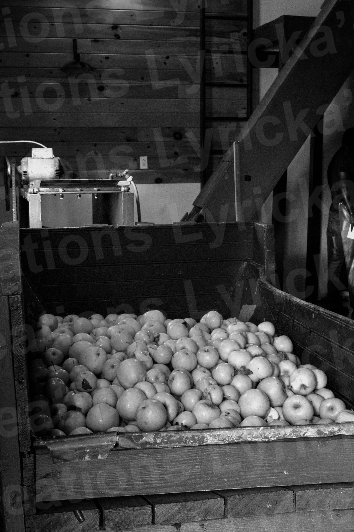 Cider Making 4 inch x 6 inch Photo Print