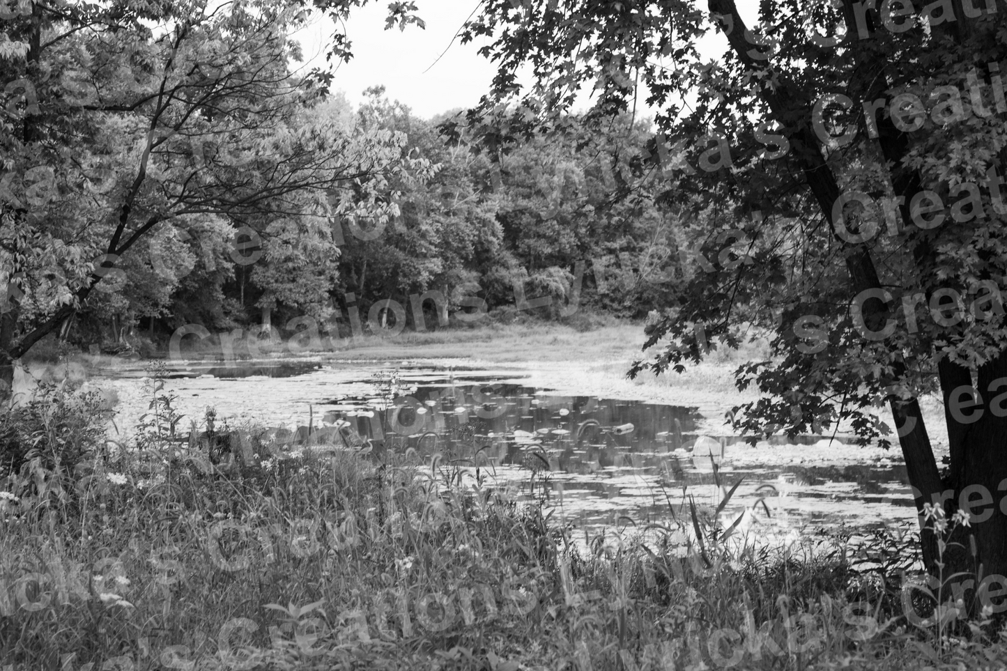 River Life Photo Print