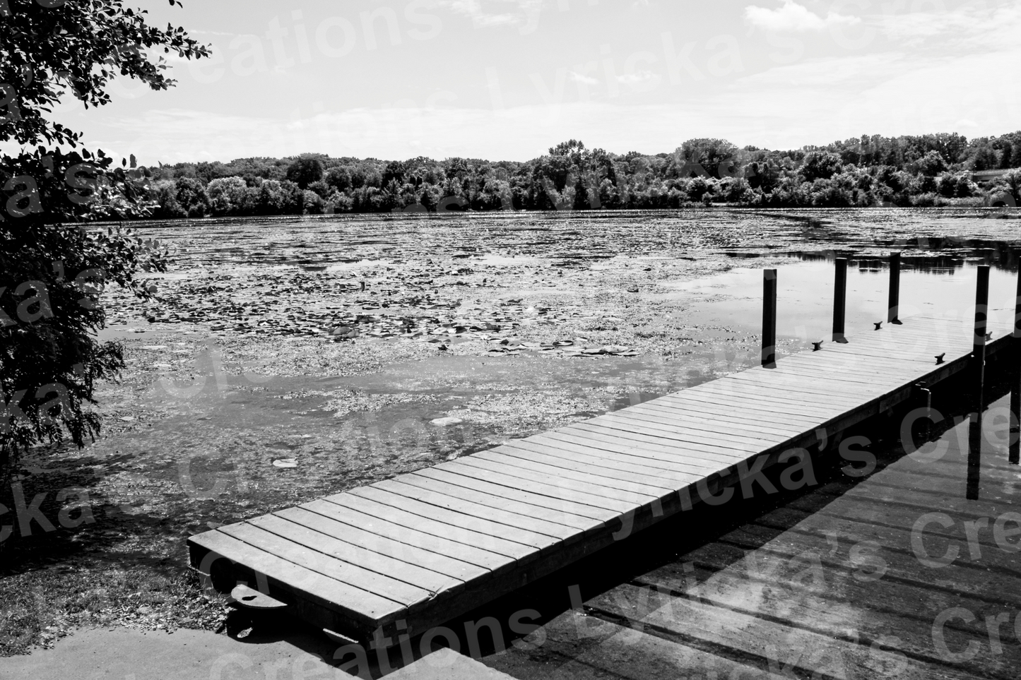 Lake Dock 4 inch x 6 inch Photo Print