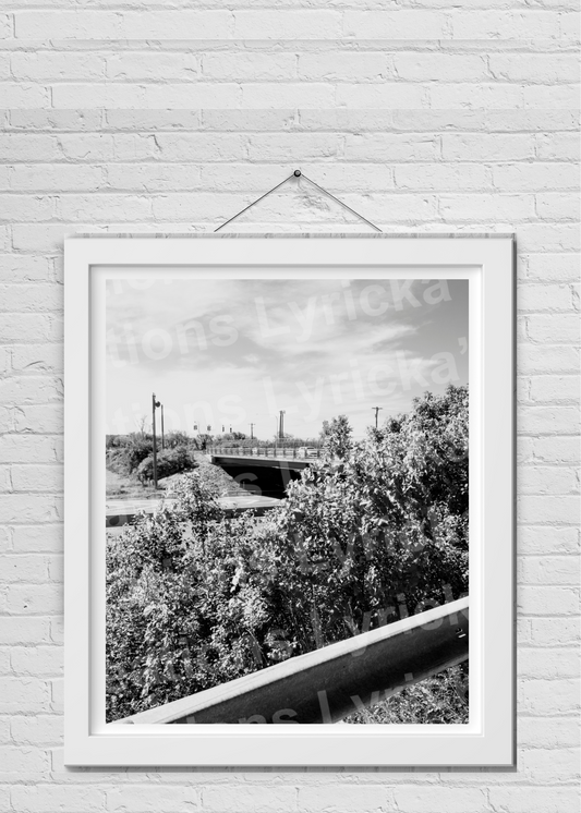 Highway Bridge Photo Print