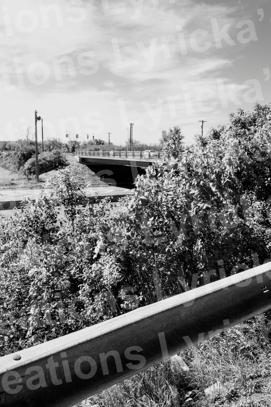 Highway Bridge Photo Print