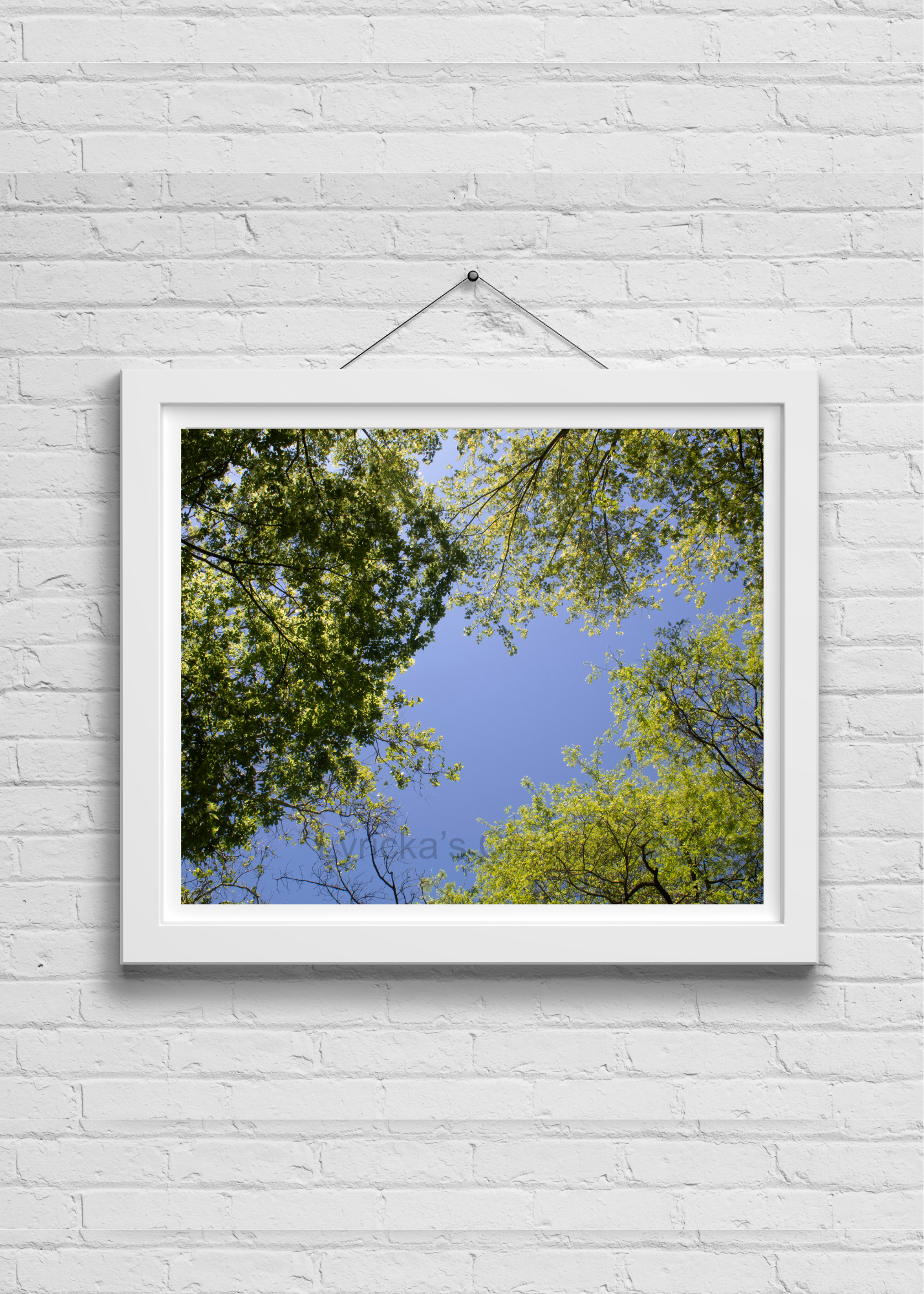 Look Up Photo Print