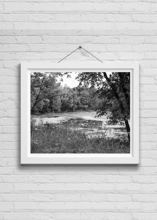 River Life Photo Print